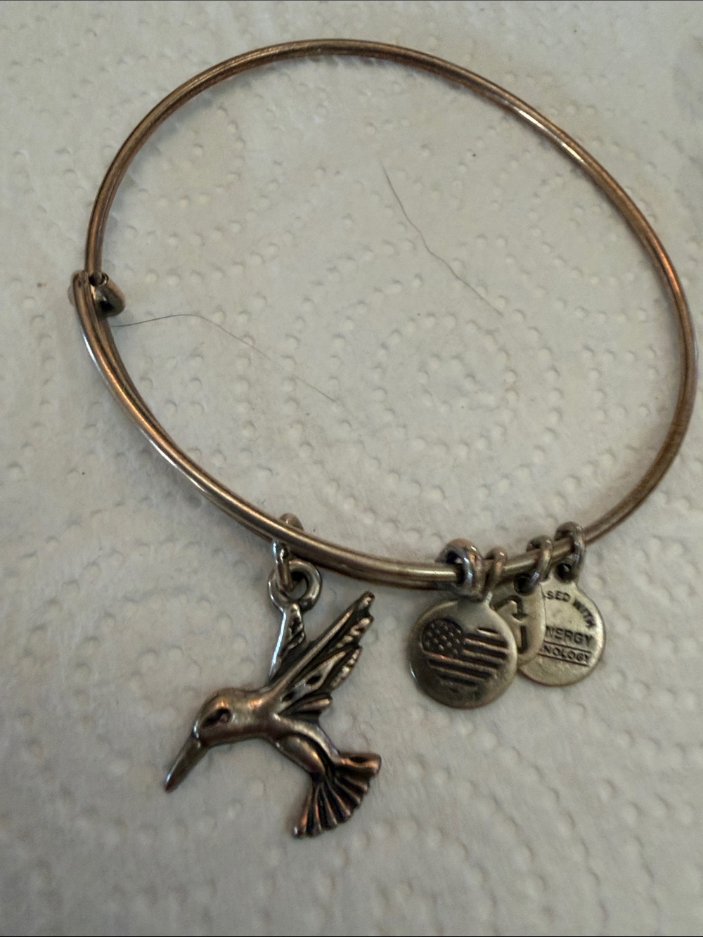 Alex and Ani Antiqued Silver Hummingbird Charm Bangle with Logo Discs